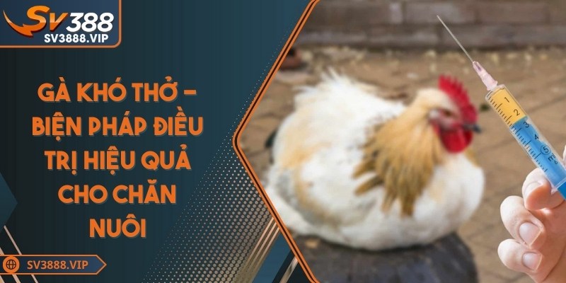 Gà khó thở